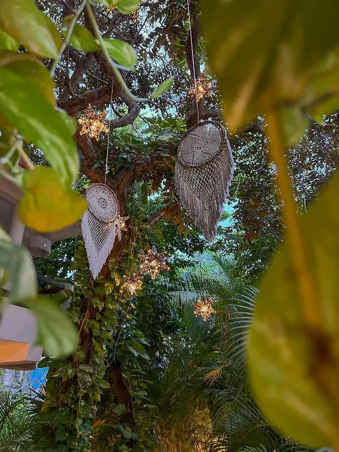 דירות פלאייה דל כרמן Casita Del Mar