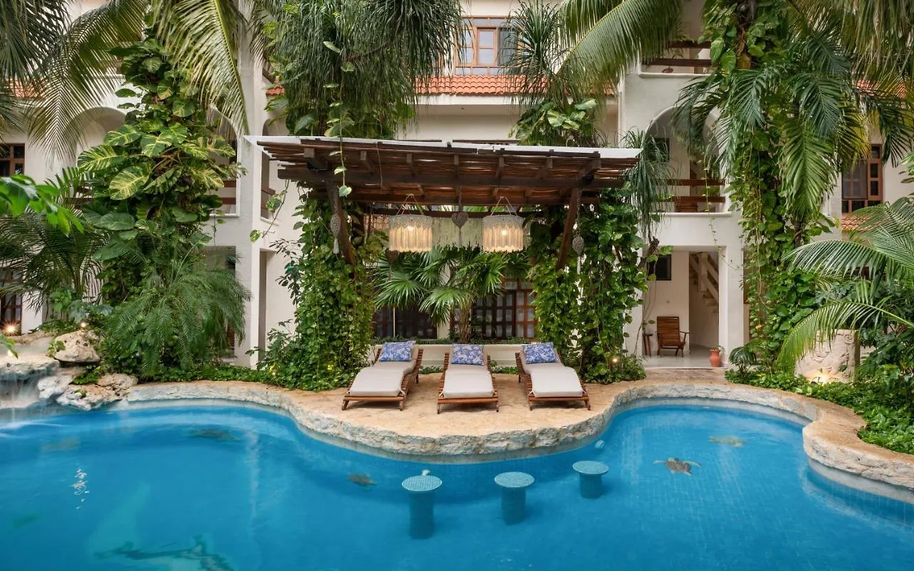דירות פלאייה דל כרמן Casita Del Mar 0*,  מקסיקו