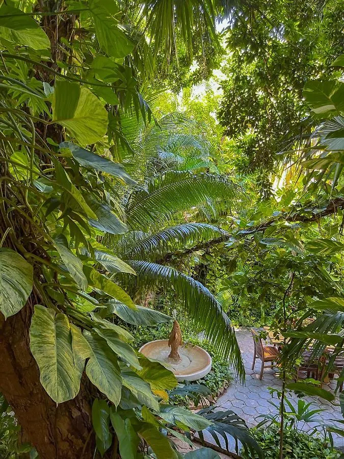Apartmán Casita Del Mar Playa del Carmen